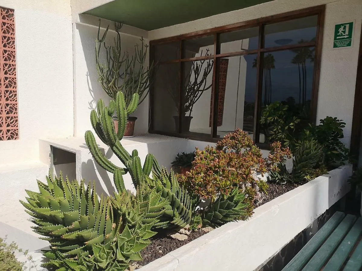 Apartment Sweet Dreams Tenerife Las Americas By Vapago Tenerife Playa Fanabe